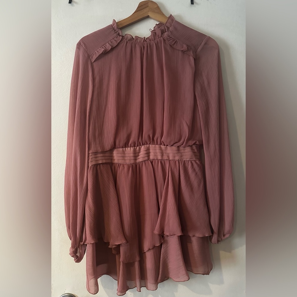 Zara Ruffled Mini Dress - Picture 4 of 4